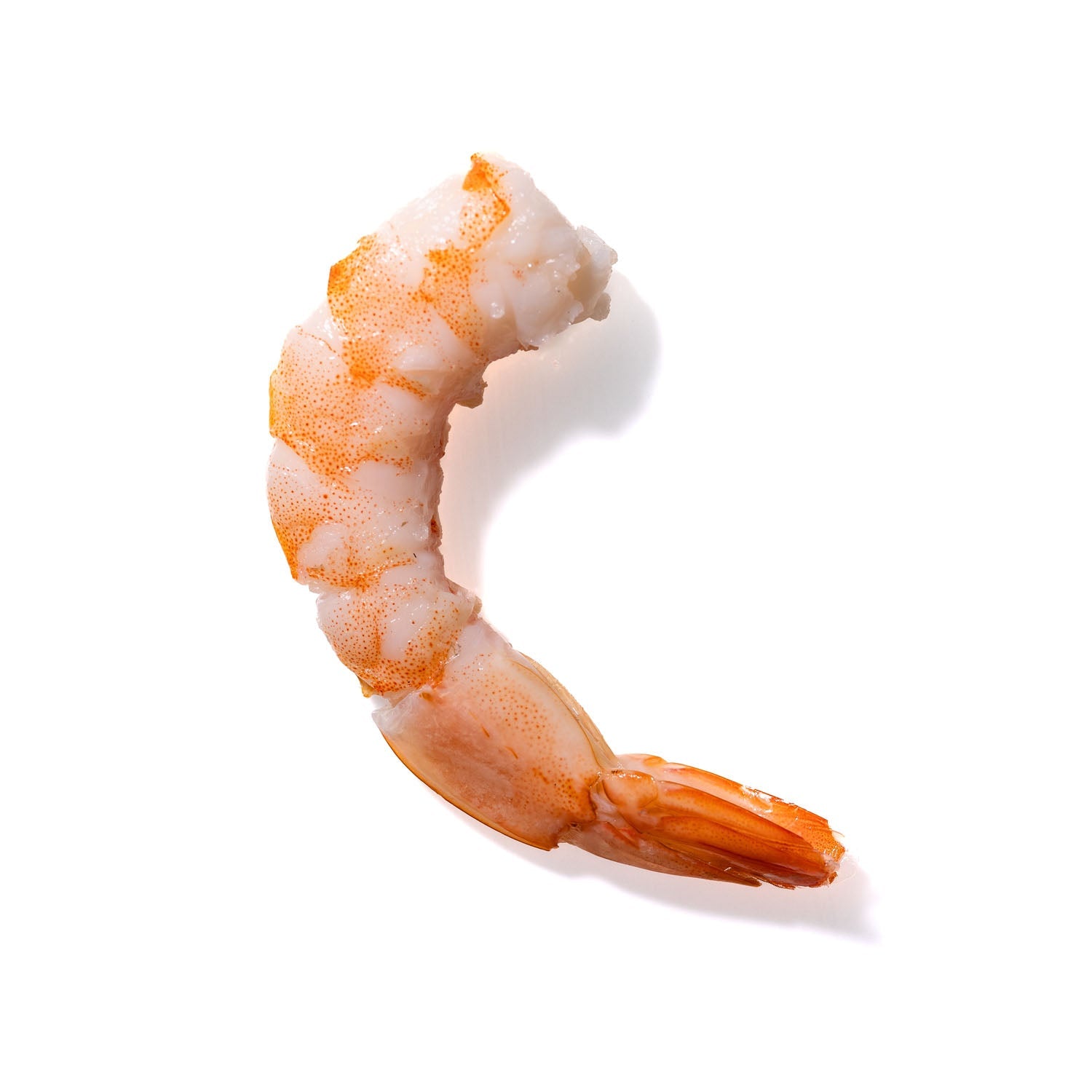 Shrimp No. 807