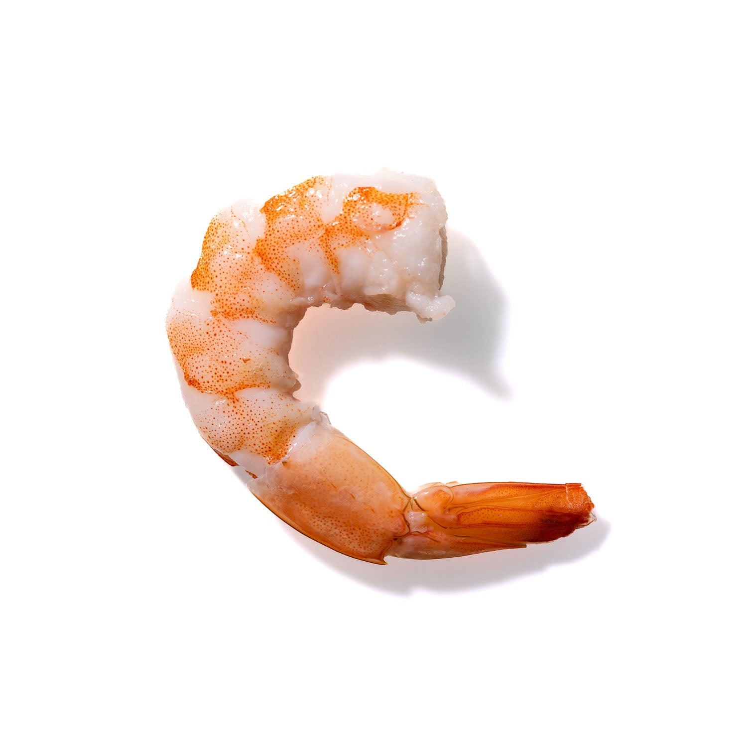 Shrimp No. 810