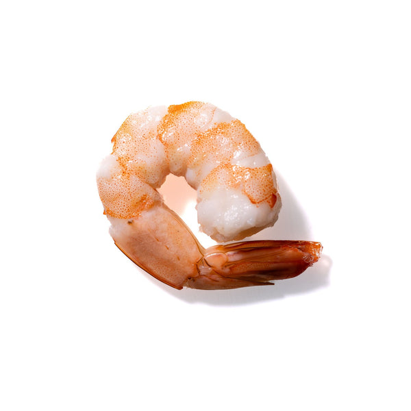 Shrimp No. 813