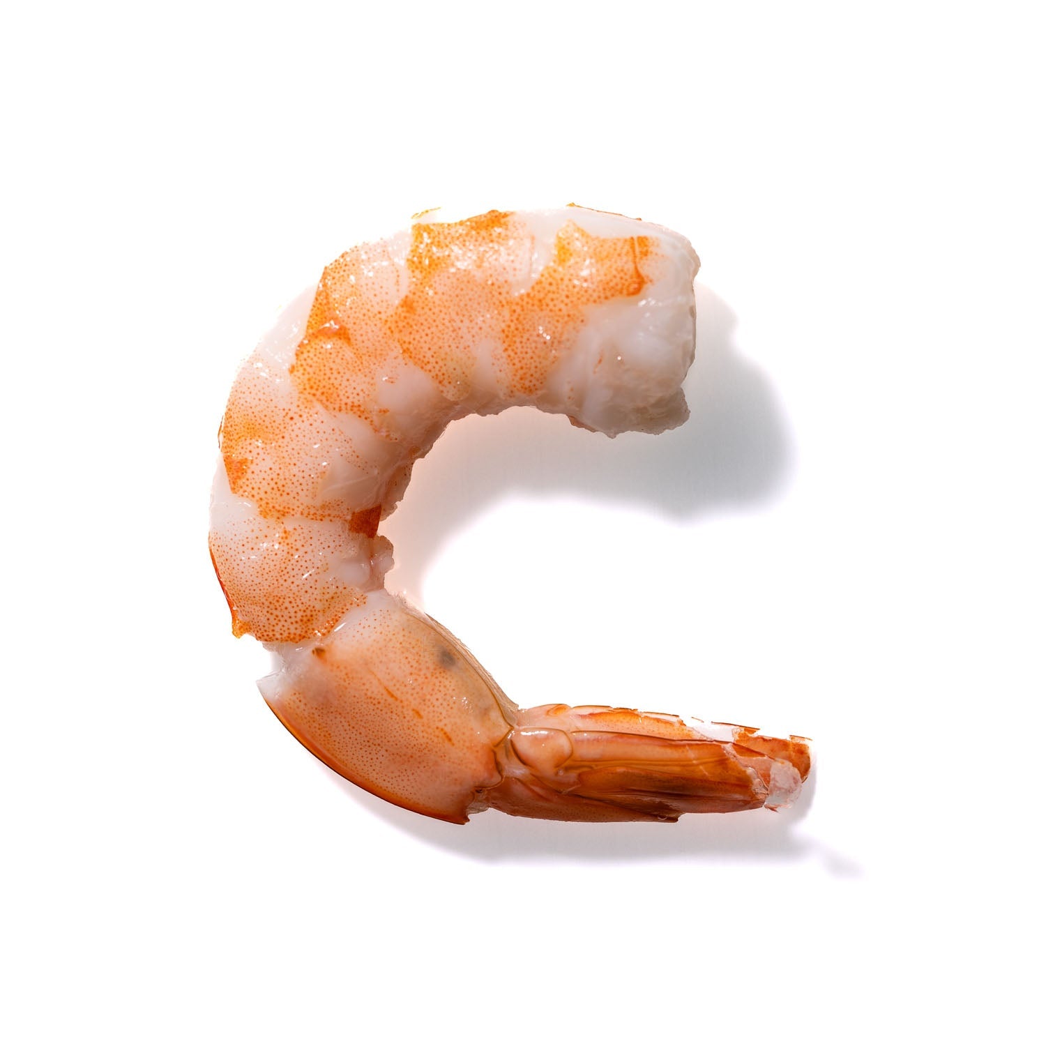 Shrimp No. 814