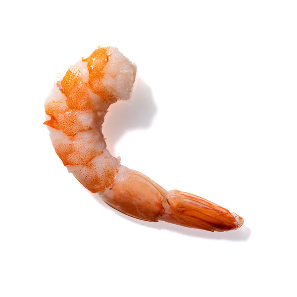 Shrimp No. 819