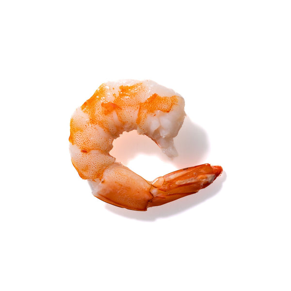 Shrimp No. 820