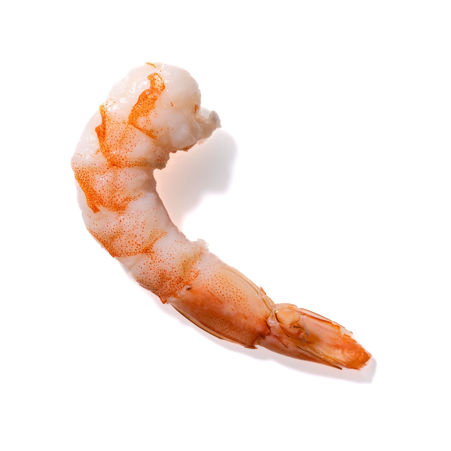 Shrimp No. 821