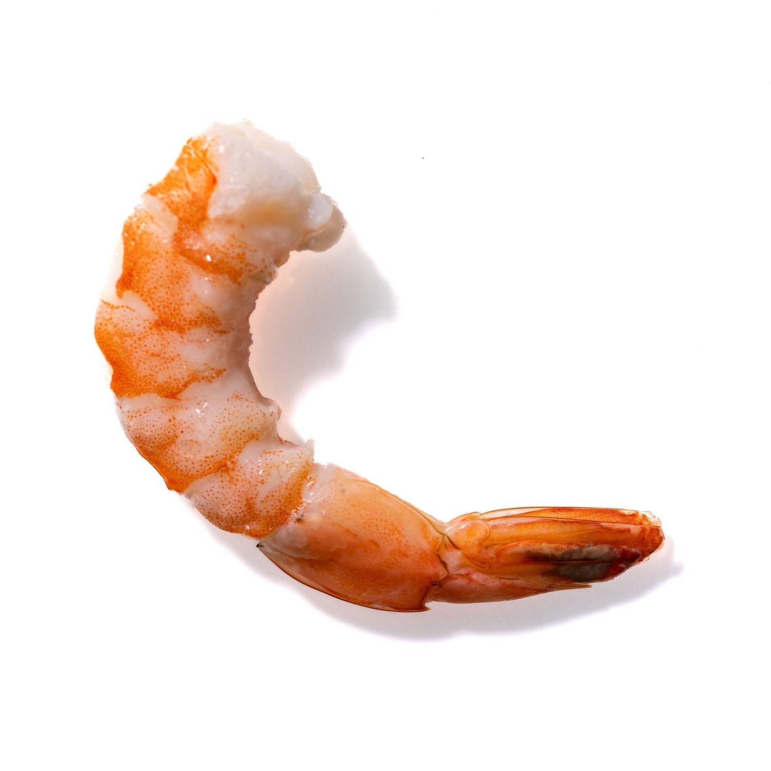 Shrimp No. 823