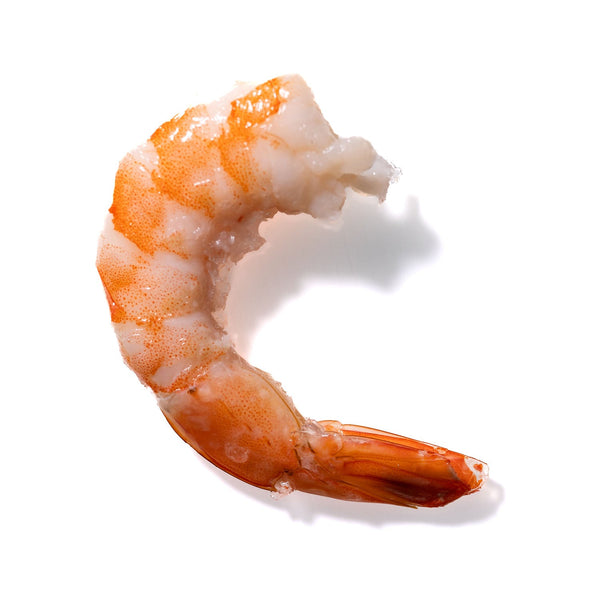 Shrimp No. 824