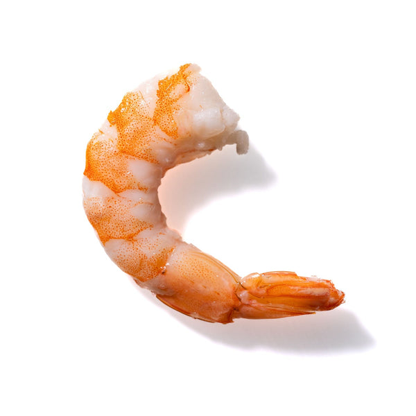 Shrimp No. 826