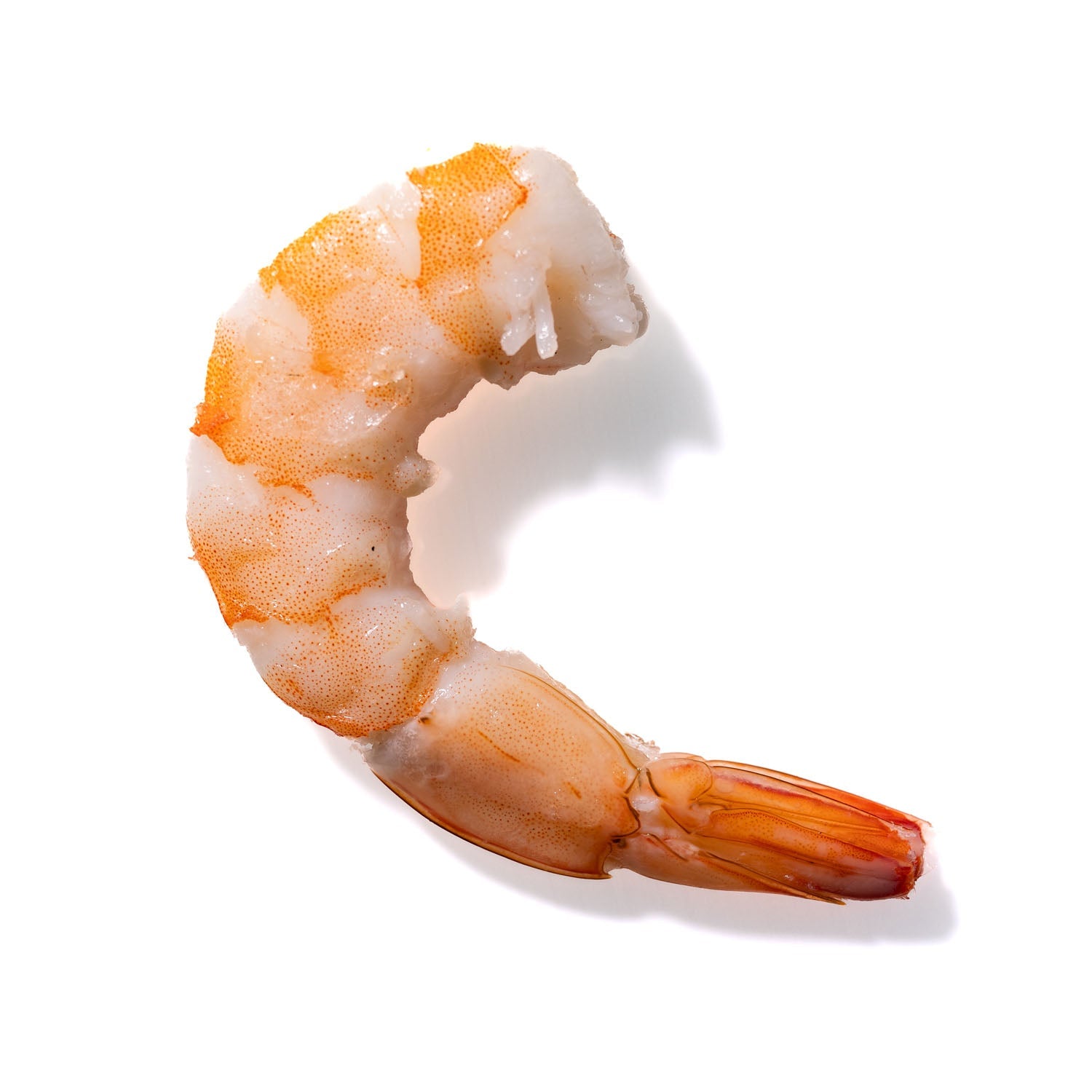 Shrimp No. 829