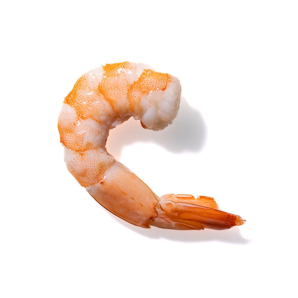 Shrimp No. 831