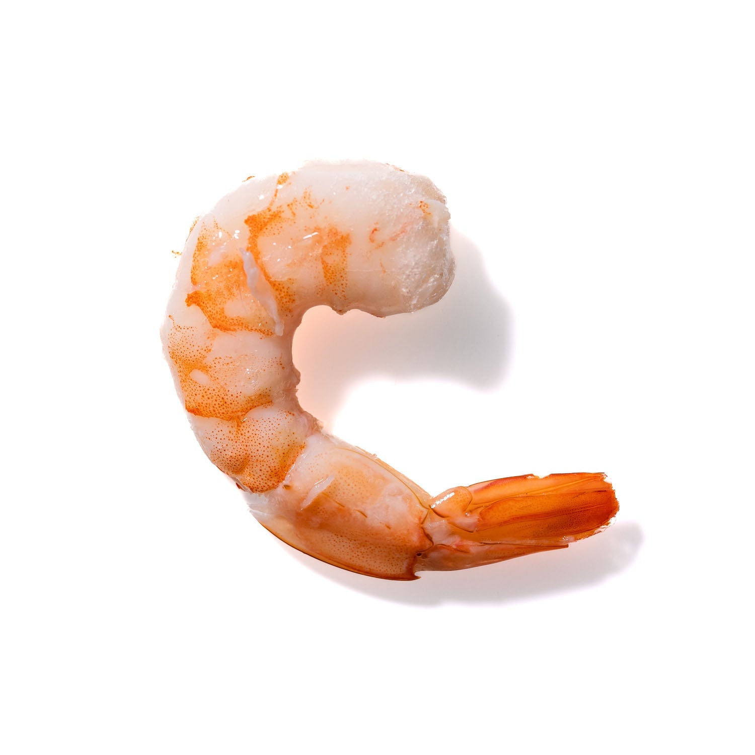 Shrimp No. 833