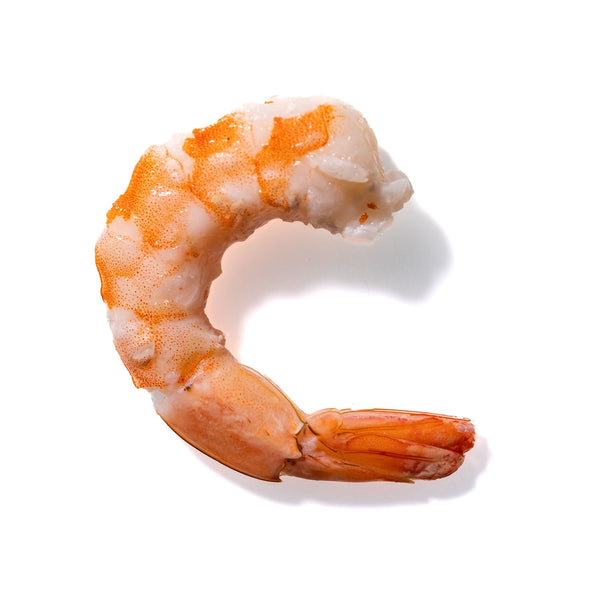 Shrimp No. 834