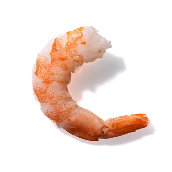 Shrimp No. 837