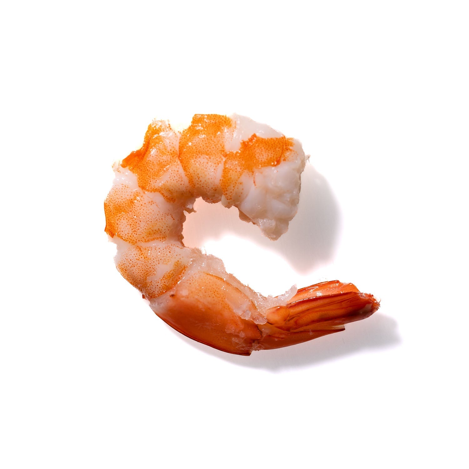 Shrimp No. 840