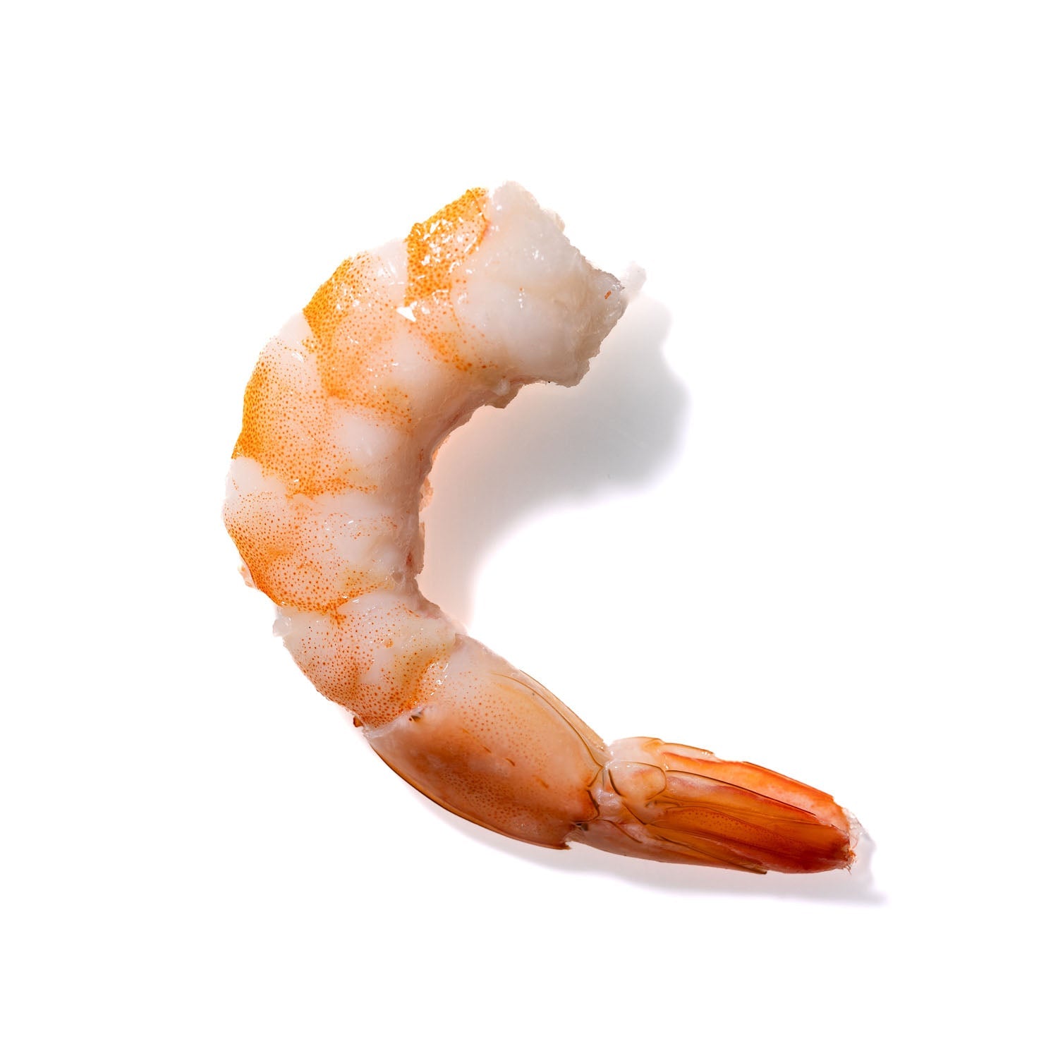 Shrimp No. 843