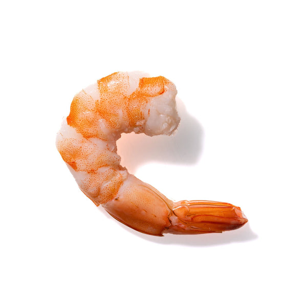 Shrimp No. 844