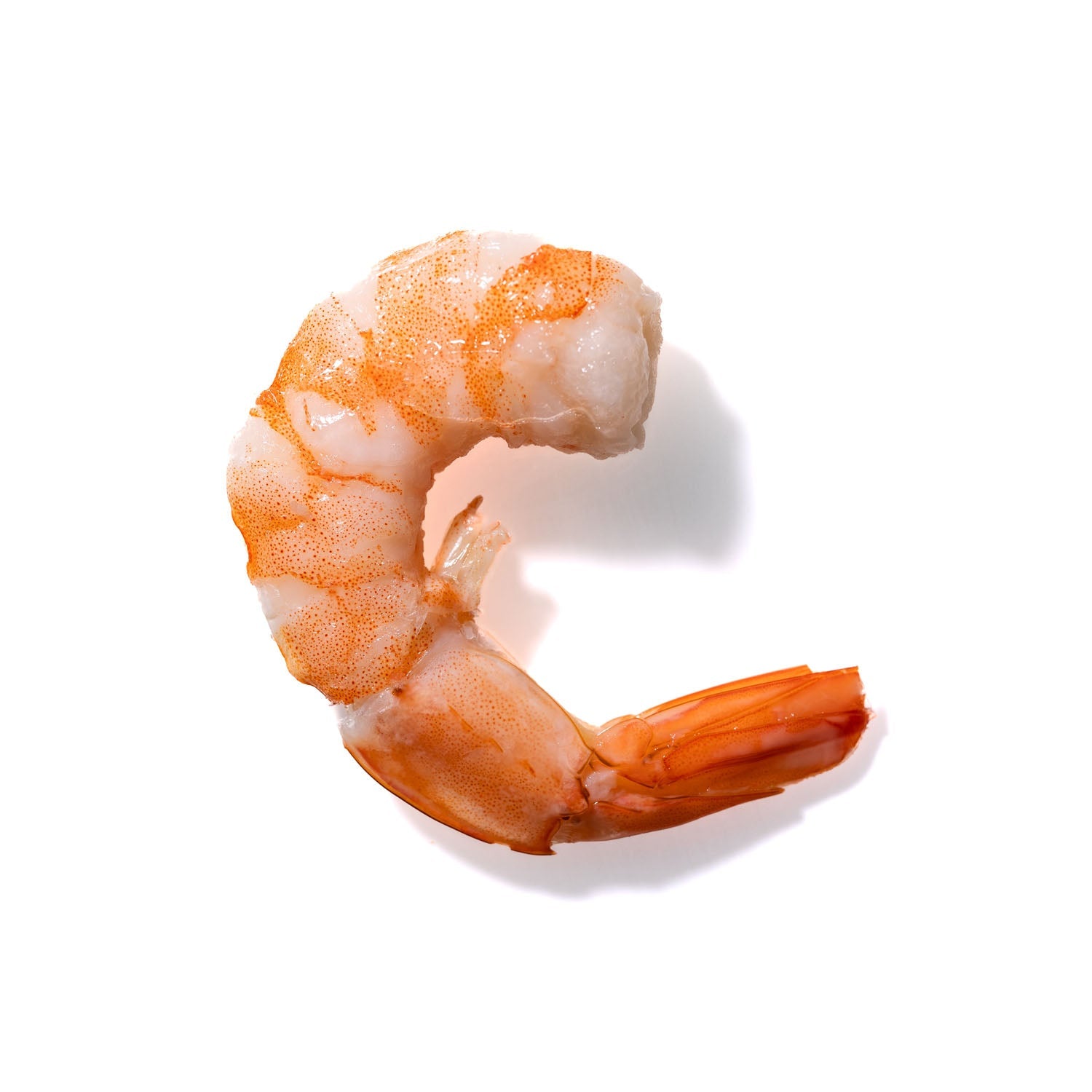 Shrimp No. 846