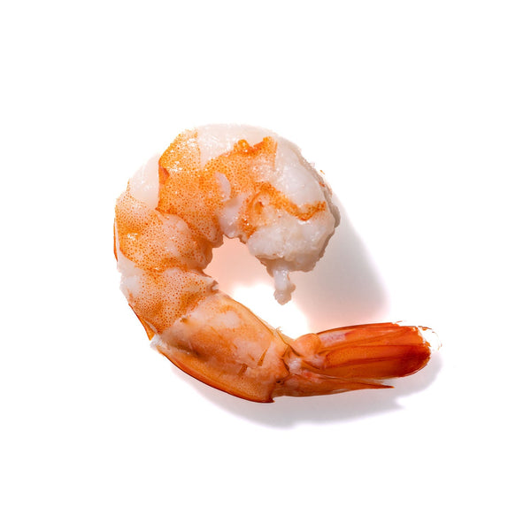 Shrimp No. 848