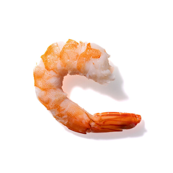 Shrimp No. 852