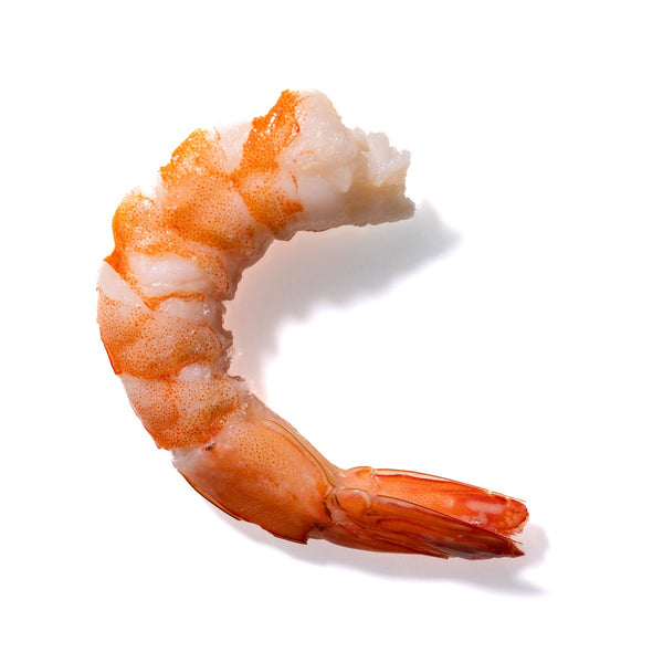 Shrimp No. 854