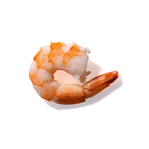 Shrimp No. 855