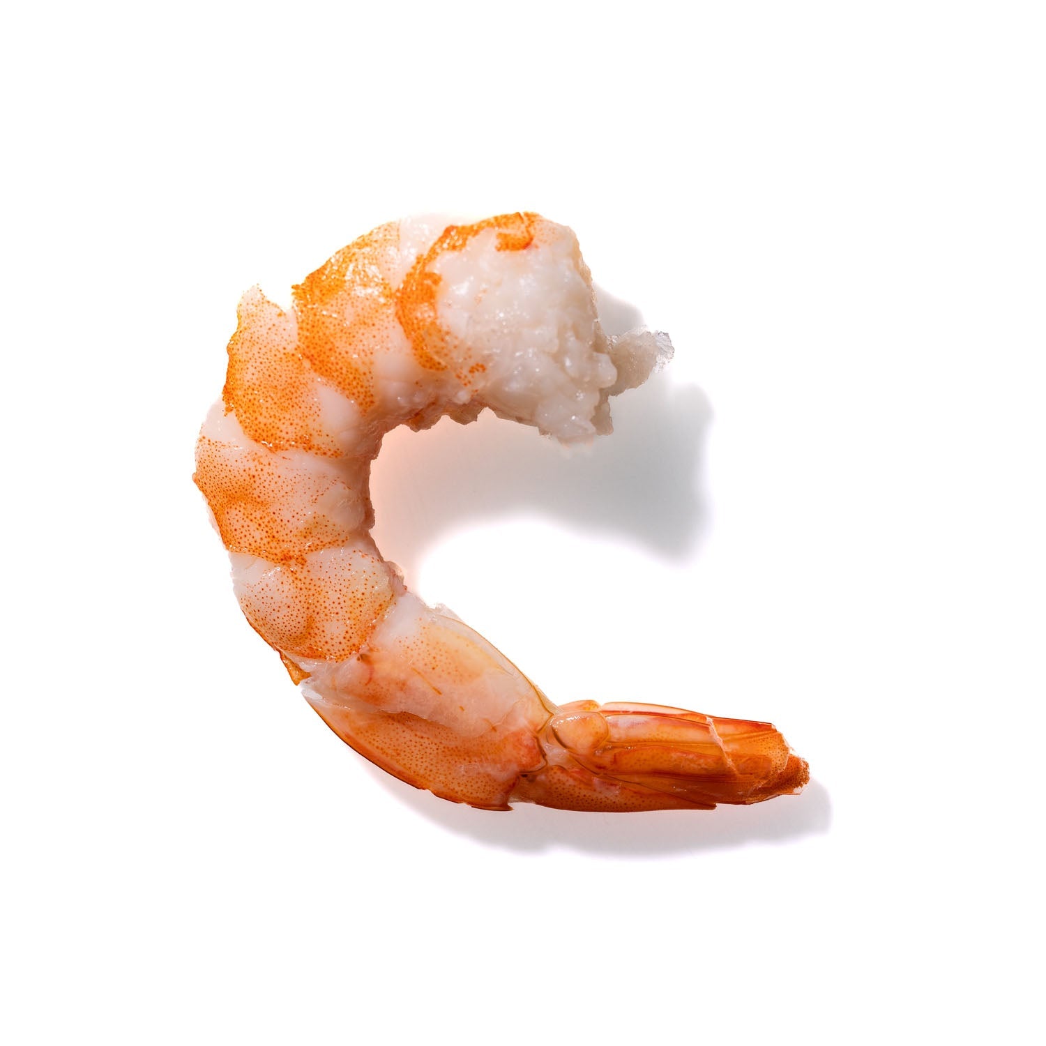 Shrimp No. 857