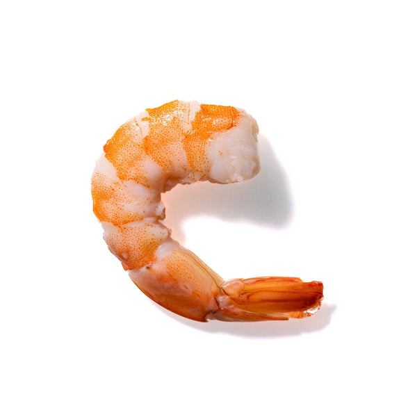 Shrimp No. 860