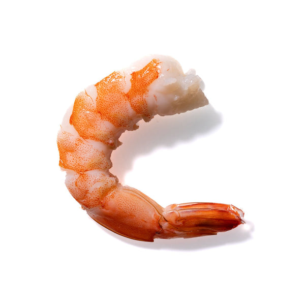 Shrimp No. 863