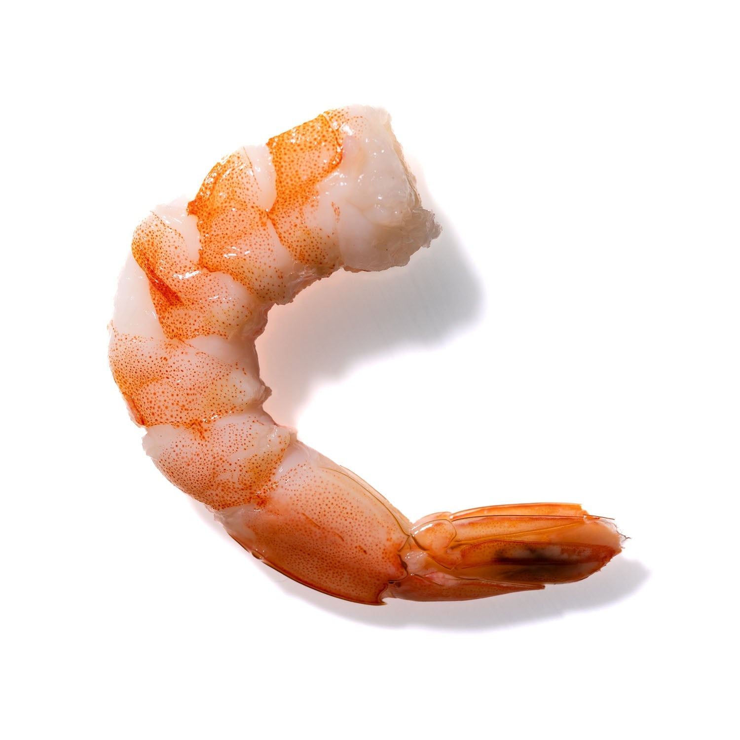 Shrimp No. 865