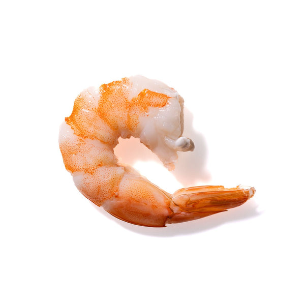 Shrimp No. 868