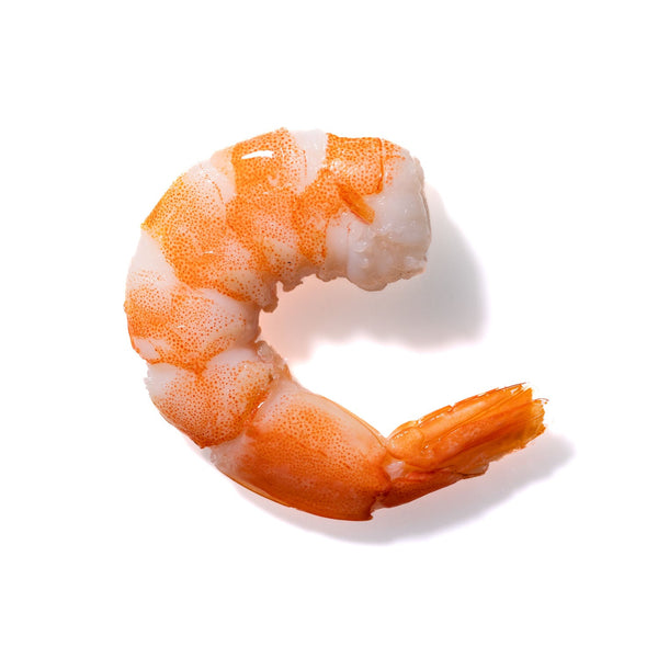 Shrimp No. 872