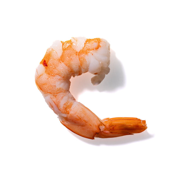 Shrimp No. 873