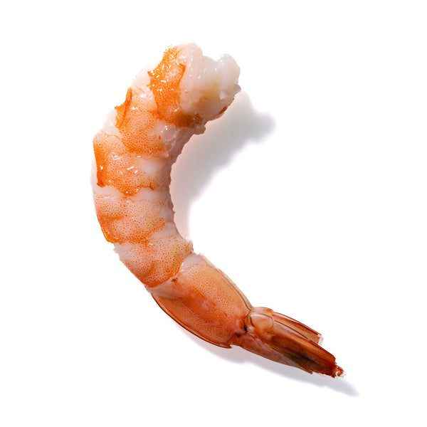 Shrimp No. 877