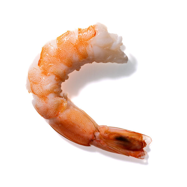 Shrimp No. 878