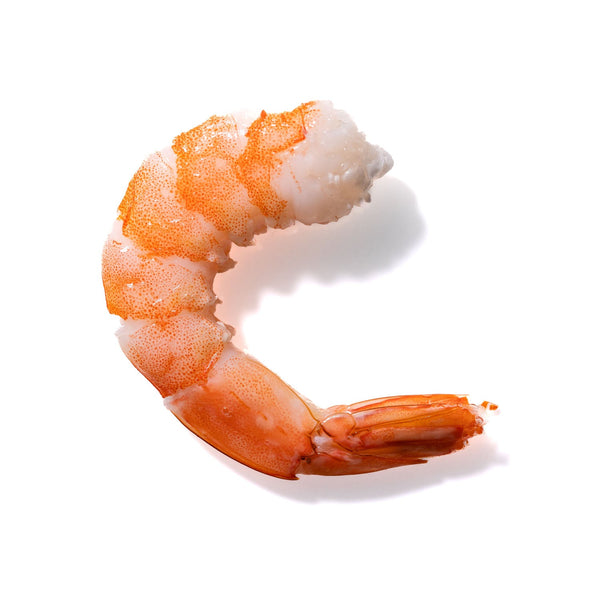 Shrimp No. 880