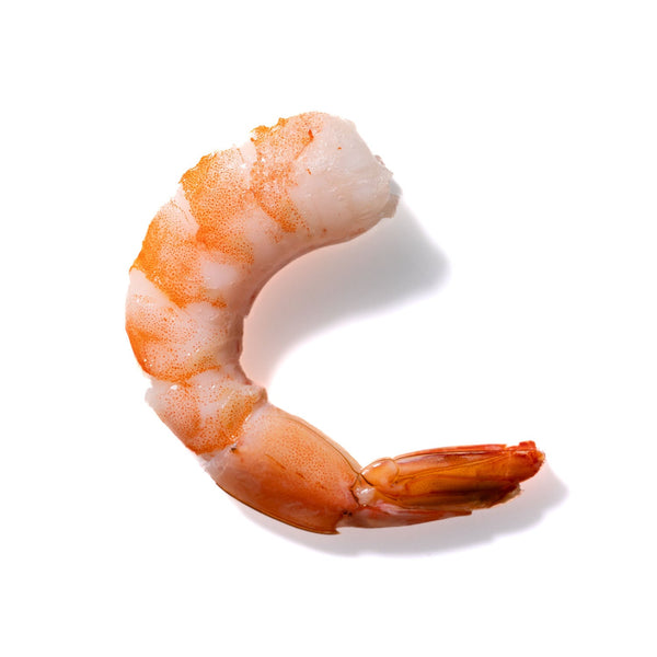 Shrimp No. 882