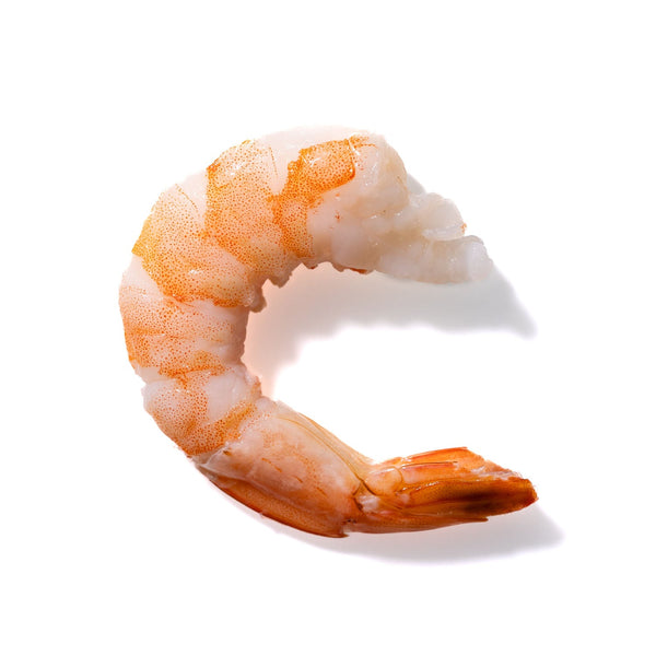 Shrimp No. 884