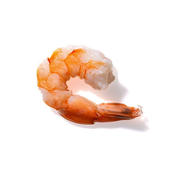 Shrimp No. 887