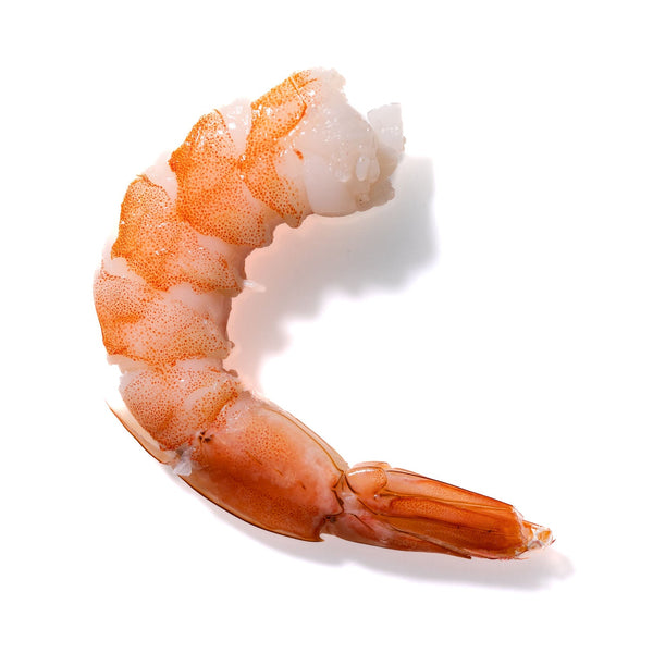 Shrimp No. 888