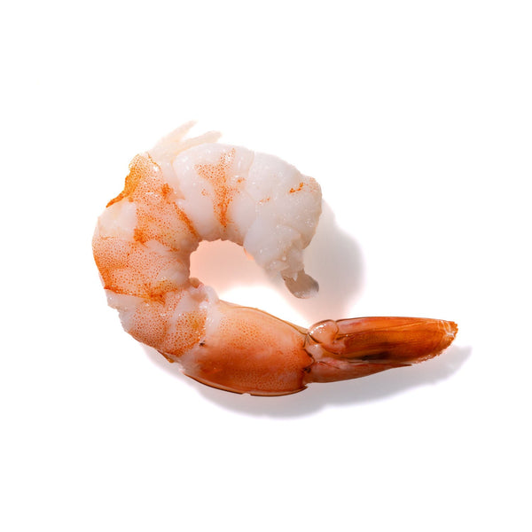 Shrimp No. 889