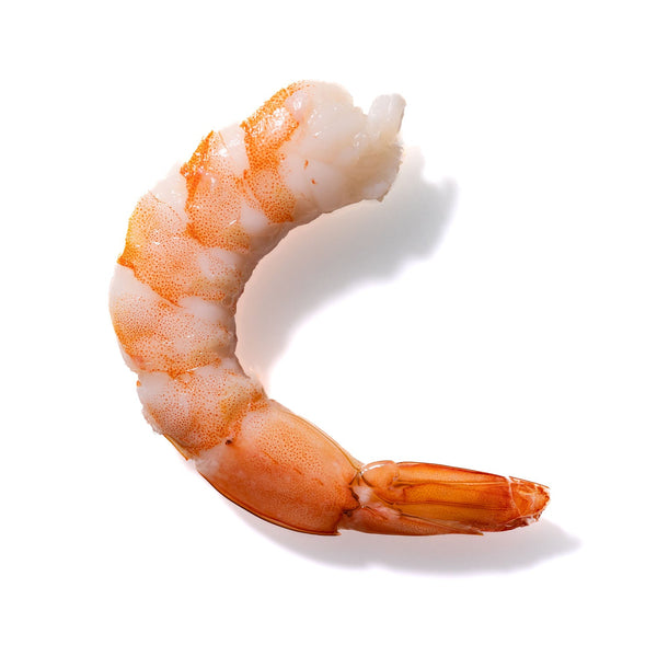 Shrimp No. 890