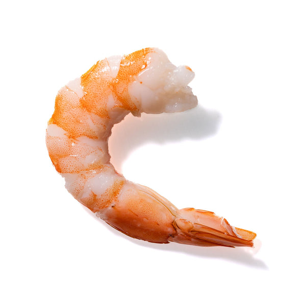 Shrimp No. 893