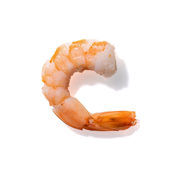 Shrimp No. 897