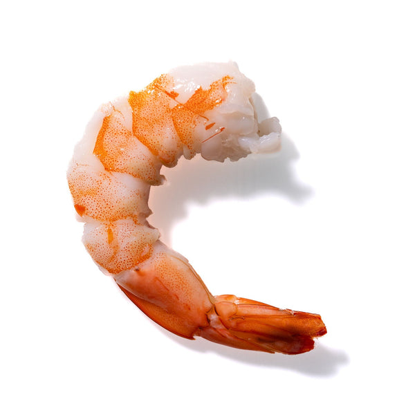 Shrimp No. 898