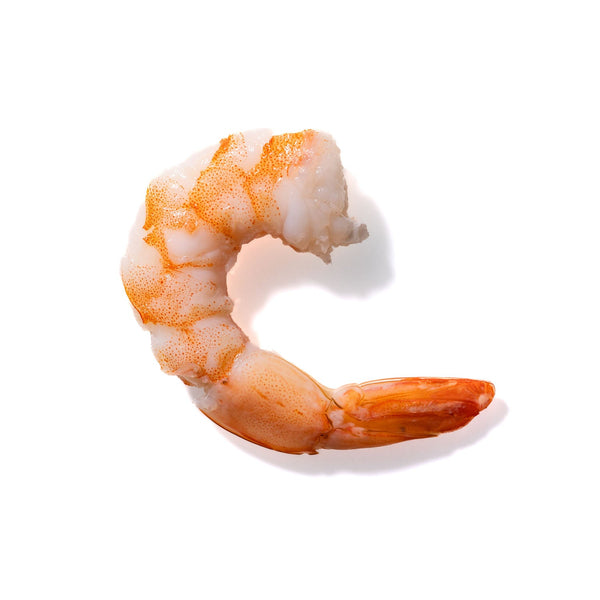 Shrimp No. 901