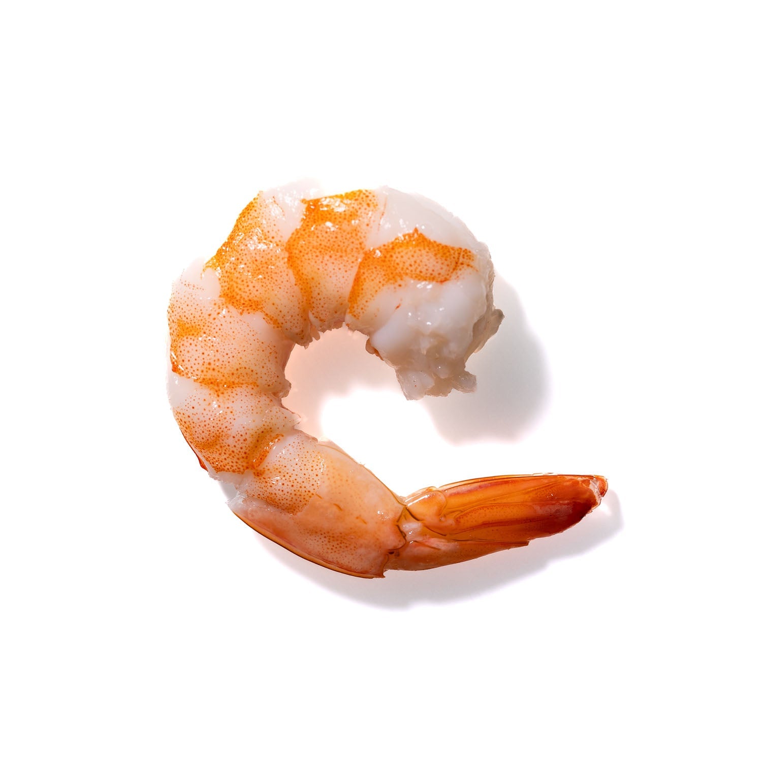 Shrimp No. 902