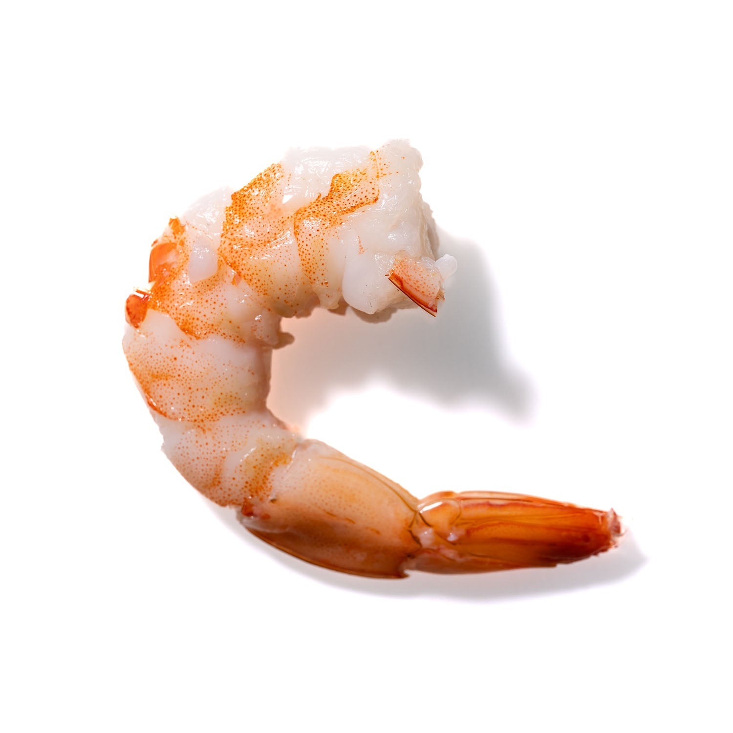 Shrimp No. 903