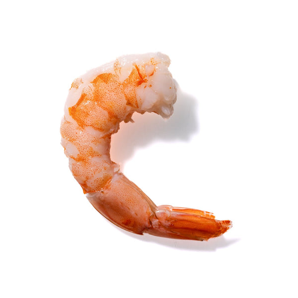 Shrimp No. 904