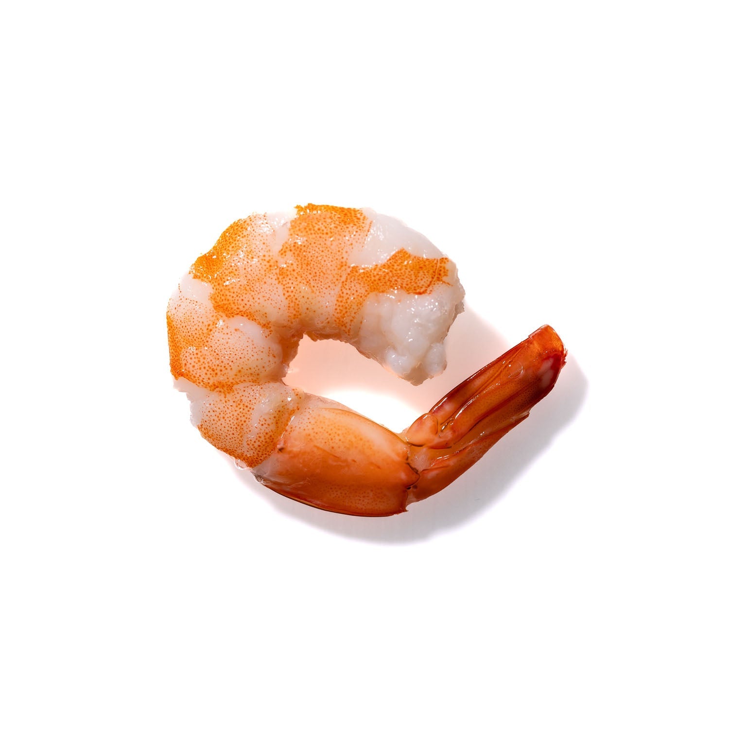 Shrimp No. 906