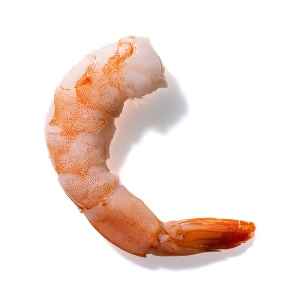 Shrimp No. 907