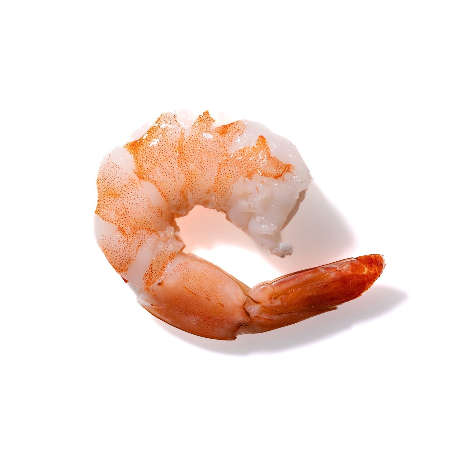 Shrimp No. 909