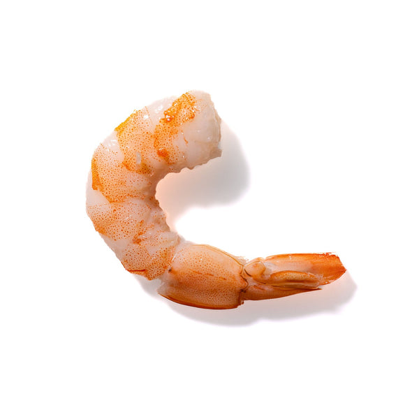 Shrimp No. 910